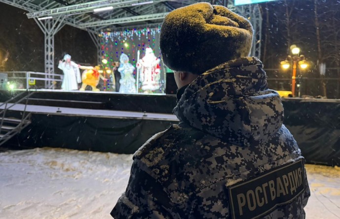 В Новгородской области новогодний правопорядок обеспечат более 130 росгвардейцев