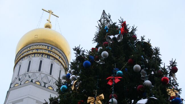 Главную новогоднюю елку России доставили в Кремль