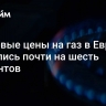 Биржевые цены на газ в Европе снизились почти на шесть процентов