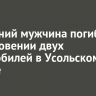 32-летний мужчина погиб в столкновении двух автомобилей в Усольском районе