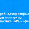 Роспотребнадзор открыл «горячую линию» по профилактике ВИЧ-инфекции