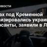 В лесах под Кременной активизировались украинские диверсанты, заявили в ЛНР