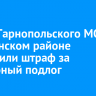 Главе Тарнопольского МО в Балаганском районе назначили штраф за служебный подлог