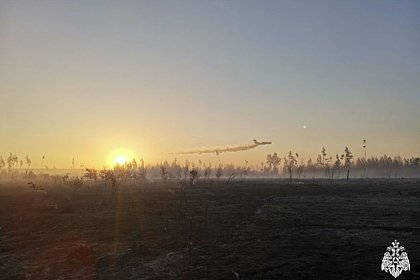 Ландшафтный пожар локализовали в Воронежской области