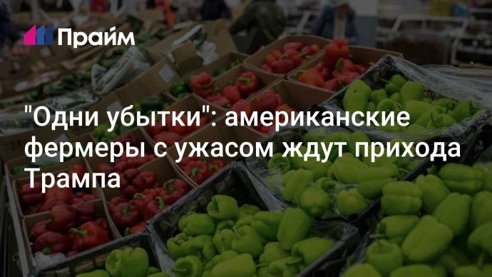 "Одни убытки": американские фермеры с ужасом ждут прихода Трампа