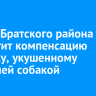 Мэрия Братского района выплатит компенсацию ребенку, укушенному бродячей собакой