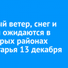 Сильный ветер, снег и метели ожидаются в некоторых районах Приангарья 13 декабря