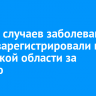 17 238 случаев заболевания ОРВИ зарегистрировали в Иркутской области за неделю