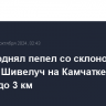 Ветер поднял пепел со склонов вулкана Шивелуч на Камчатке на высоту до 3 км