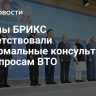 Страны БРИКС приветствовали неформальные консультации по вопросам ВТО