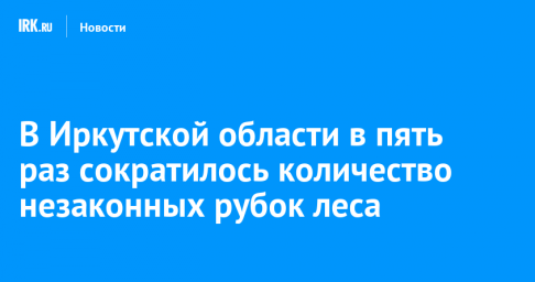 В Иркутской области в пять раз сократилось количество незаконных рубок леса