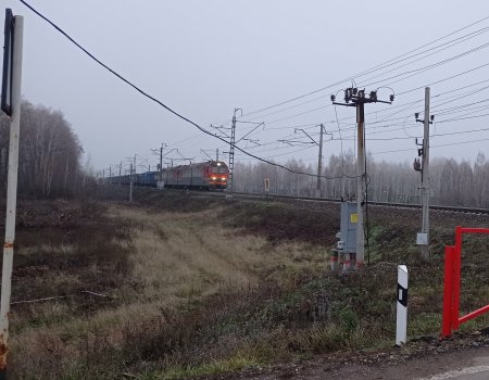 В Башкирии лось попал под поезд и погиб