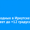 На выходных в Иркутске потеплеет до +12 градусов