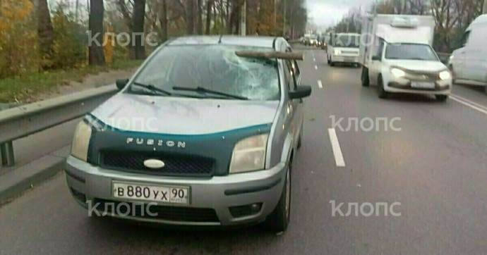 На Киевской дерево пробило лобовое стекло в сантиметре от головы водителя