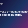 Приамурье отправило первую партию сои во Вьетнам