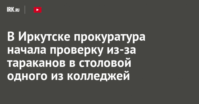 В Иркутске прокуратура начала проверку из-за тараканов в столовой одного из колледжей