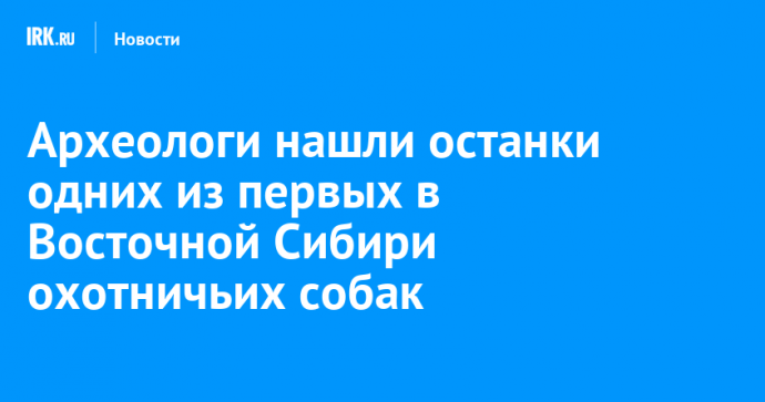 Археологи нашли останки одних из первых в Восточной Сибири охотничьих собак