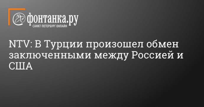 NTV: В Турции произошел обмен заключенными между Россией и США