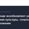 В Белгороде возобновляют работу учреждения культуры, спорта и допобразования