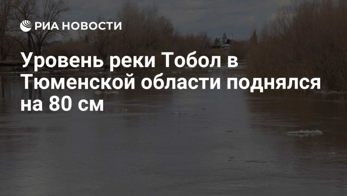 Уровень реки Тобол в Тюменской области поднялся на 80 см