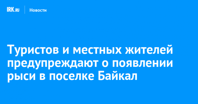 Туристов и местных жителей предупреждают о появлении рыси в поселке Байкал