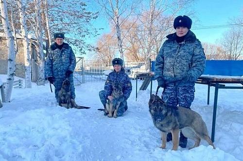 Галла, Горгона и Гизма поступили на службу в УФСИН Приамурья