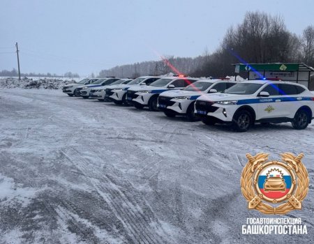 В ГАИ сообщили, где водителей массово проверяют на нарушения ПДД в Башкирии