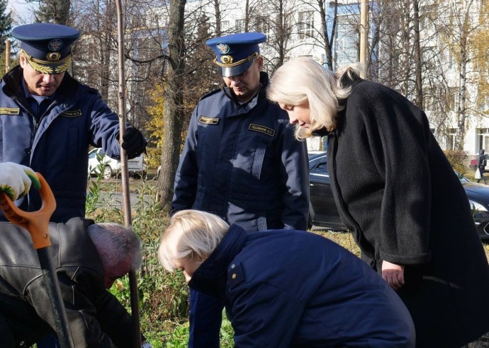 В Юбилейном парке в Ярославле посадили липы