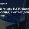 Новый генсек НАТО болен русофобией, считает депутат Госдумы