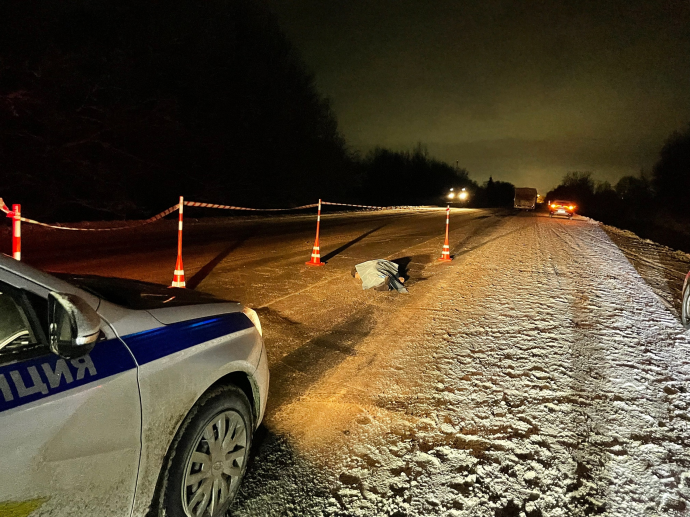 В Новгородском районе водитель автобуса насмерть сбил пешехода