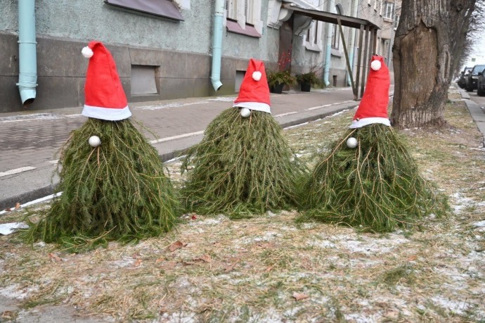 Выборжане начали украшать свои дома и дворы и делиться фотографиями