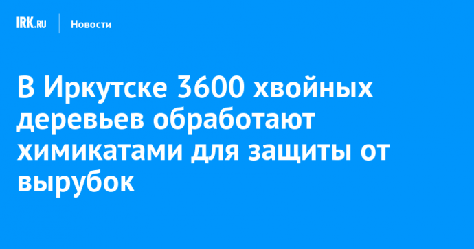 В Иркутске 3600 хвойных деревьев обработают химикатами для защиты от вырубок