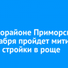 В микрорайоне Приморском 29 декабря пройдет митинг против стройки в роще