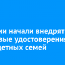 В России начали внедрять цифровые удостоверения многодетных семей