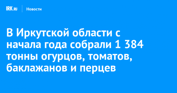 В Иркутской области с начала года собрали 1 384 тонны огурцов, томатов, баклажанов и перцев