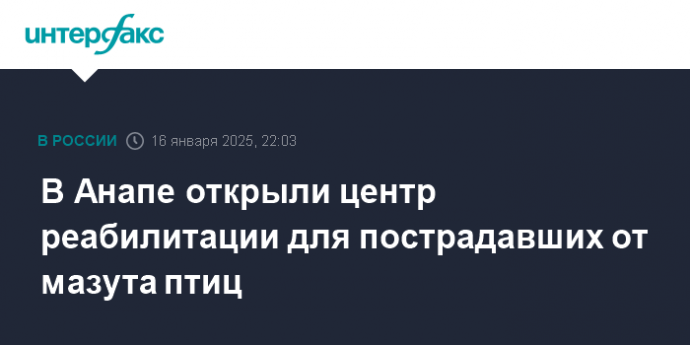 В Анапе открыли центр реабилитации для пострадавших от мазута птиц