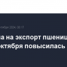 Пошлина на экспорт пшеницы из РФ с 9 октября повысилась на 6,6%