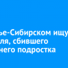 В Усолье-Сибирском ищут водителя, сбившего 16-летнего подростка