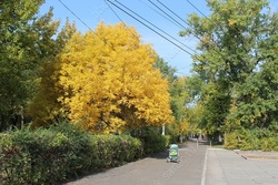 В городе солнечно и тепло