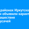 В двух районах Иркутской области объявили карантин из-за нашествия жуков-усачей