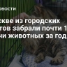 В Москве из городских приютов забрали почти 1,7 тысячи животных за год