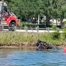 Останки пропавших 50 лет назад матери и дочери нашли в машине под водой