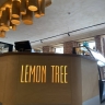 ​В центре Перми открылось второе заведение Lemon Tree