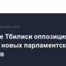 В центре Тбилиси оппозиция требует новых парламентских выборов