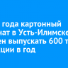 С 2025 года картонный комбинат в Усть-Илимске намерен выпускать 600 тонн продукции в год