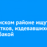 В Тулунском районе ищут подростков, издевавшихся над собакой