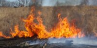 В Астраханской области горели заброшка и жилой дом