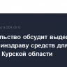 Правительство обсудит выделение МЧС и Минздраву средств для жителей Курской области