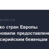 Несколько стран Европы приостановили предоставление убежищ сирийским беженцам