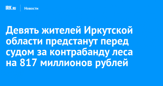 Девять жителей Иркутской области предстанут перед судом за контрабанду леса на 817 миллионов рублей